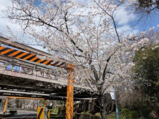 気がつけば４月もあと１週間ですね！！