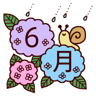 梅雨入りしましたね☔